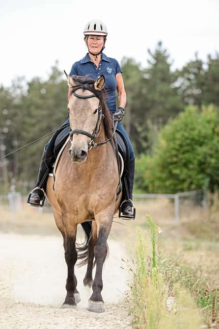 CAVALLO Aus Hufen lesen Aus Hufen lesen