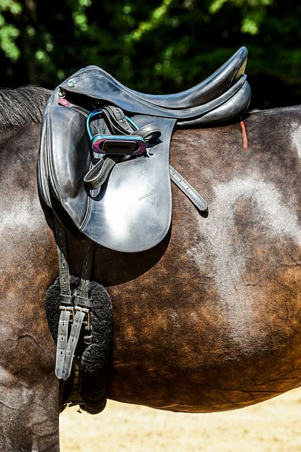 CAVALLO Die Sattel-Diskussion Die Sattel-Diskussion