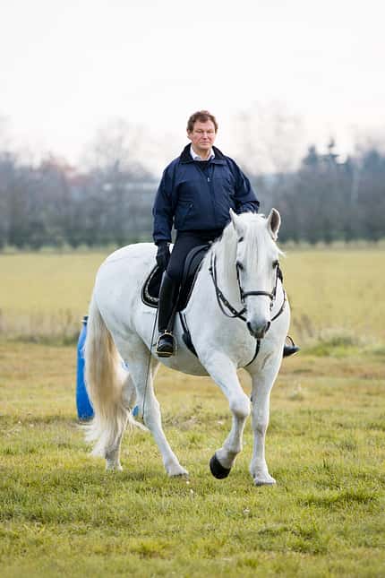 CAVALLO So geht das Pferd in die richtige Richtung So geht das Pferd in die richtige Richtung