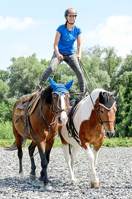 CAVALLO Redaktion in Aktion - Stuntreiten Redaktion in Aktion - Stuntreiten