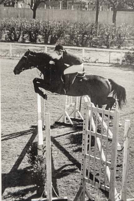 CAVALLO hautnah Dr. Maximilian Pick CAVALLO hautnah Dr. Maximilian Pick