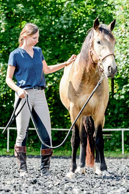 CAVALLO Aufstieghilfe