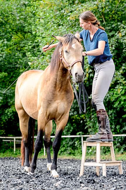 CAVALLO Aufstieghilfe