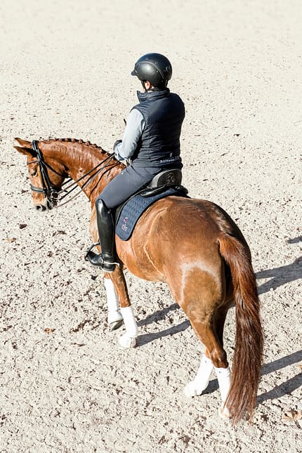 CAVALLO Dressur mit Osteo-Effekt Dressur mit Osteo-Effekt