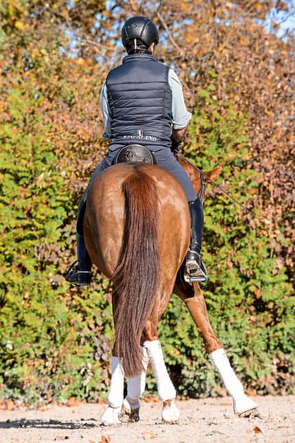 CAVALLO Dressur mit Osteo-Effekt Dressur mit Osteo-Effekt