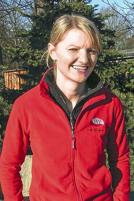 CAVALLO Von außen auf Krankheiten schließen Von außen auf Krankheiten schließen