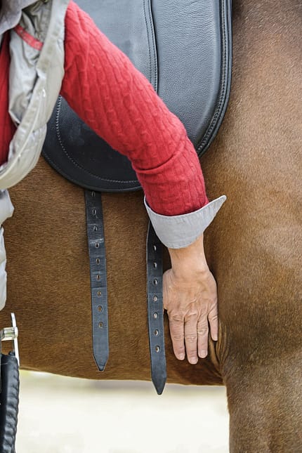 CAVALLO Von außen auf Krankheiten schließen Von außen auf Krankheiten schließen