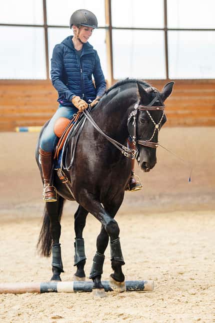 CAVALLO Lisa in fremden Sätteln - Working Equitation Lisa in fremden Sätteln - Working Equitation