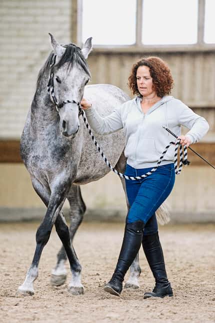 CAVALLO Seitwärtshilfen Seitwärtshilfen