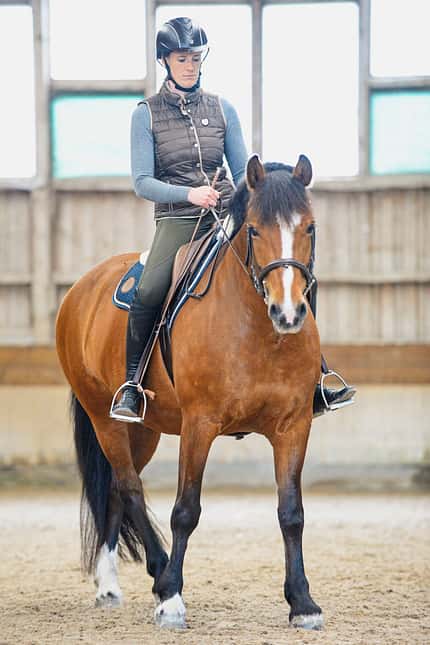 CAVALLO Seitwärtshilfen Seitwärtshilfen