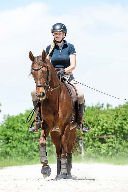 CAVALLO Klassisch reiten mit Quarter Horse Klassisch reiten mit Quarter Horse
