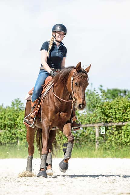 CAVALLO Klassisch reiten mit Quarter Horse Klassisch reiten mit Quarter Horse