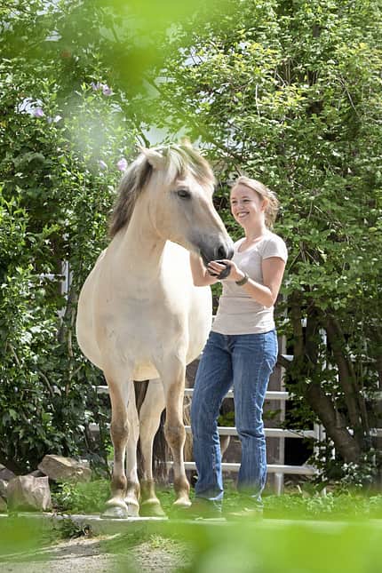 CAVALLO TSP Tierschutz TSP Tierschutz