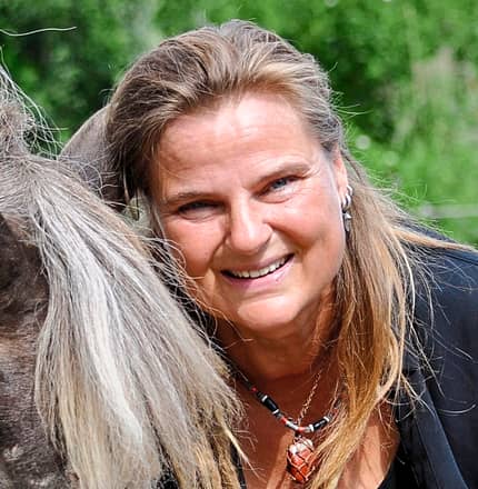 CAVALLO Clickern für Problemfälle