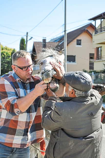 CAVALLO Report Equiwent Report Equiwent