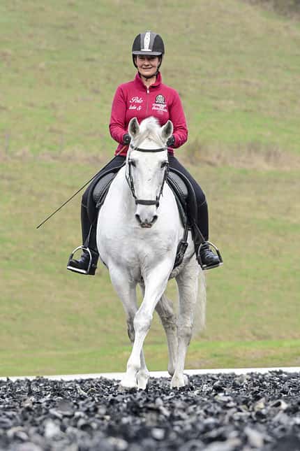 CAVALLO TSP Flexible Hilfengebung TSP Flexible Hilfengebung
