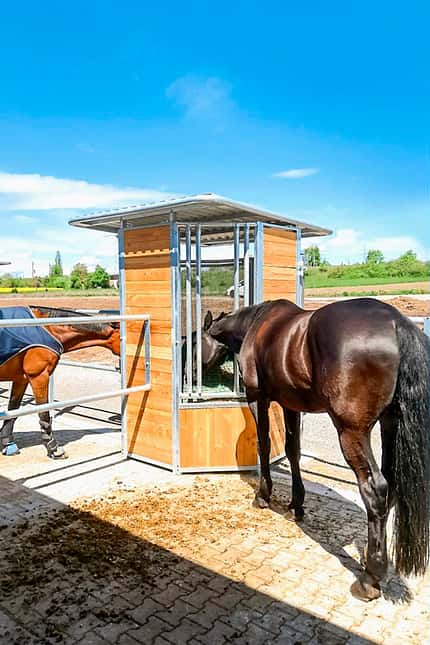 CAVALLO Clevere Stallbau-Konzepte Clevere Stallbau-Konzepte