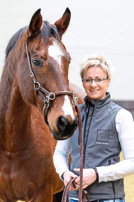 CAVALLO Stierkampf Debatte Stierkampf Debatte