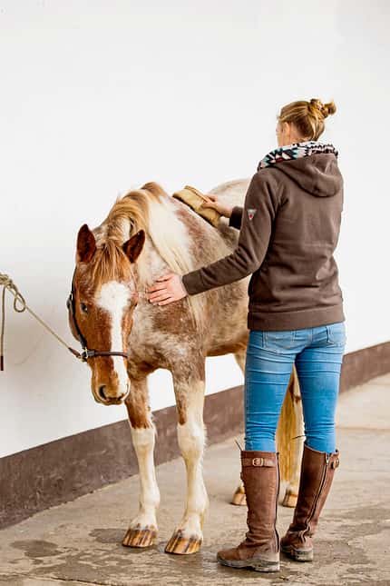 CAVALLO Anbinden ohne Stress Anbinden ohne Stress