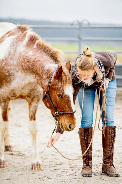 CAVALLO Anbinden ohne Stress Anbinden ohne Stress