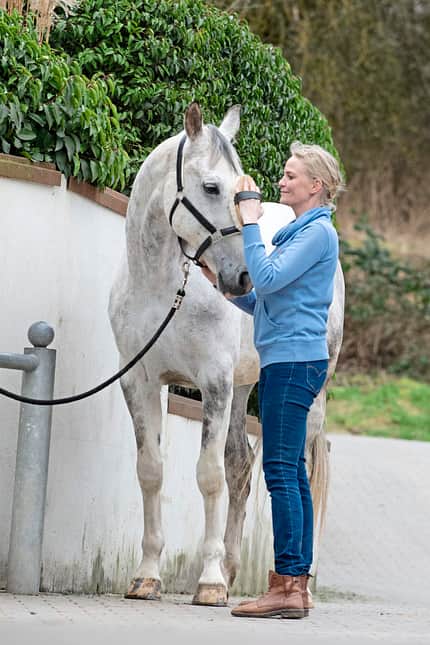 CAVALLO Amour Amour