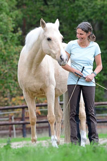 CAVALLO TSP Neues Horsemanship TSP Neues Horsemanship