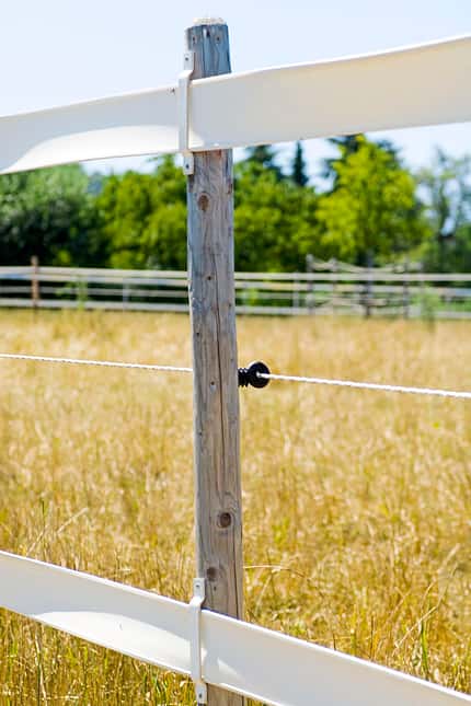 CAVALLO Weidezaun-Check Weidezaun-Check