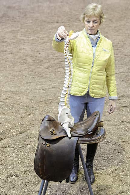 CAVALLO Top Thema Sattel Top Thema Sattel
