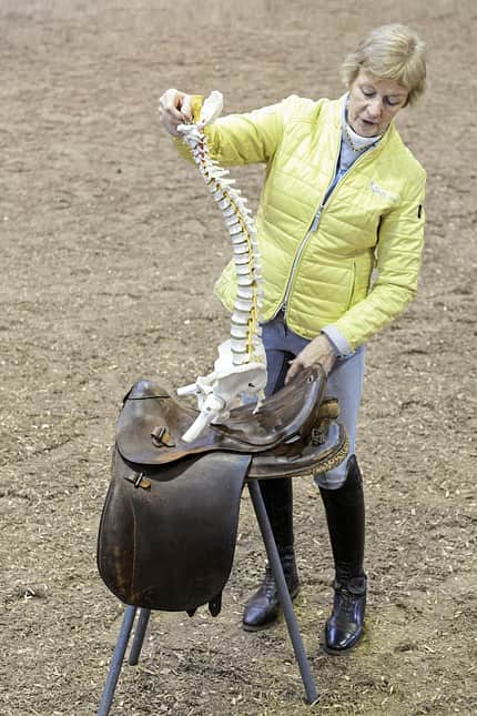 CAVALLO Top Thema Sattel Top Thema Sattel