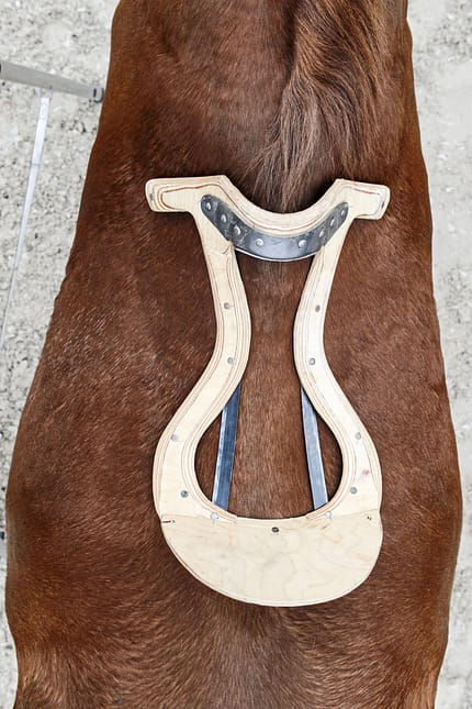CAVALLO Top Thema Sattel Top Thema Sattel