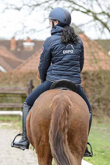 CAVALLO Top Thema Sattel Top Thema Sattel