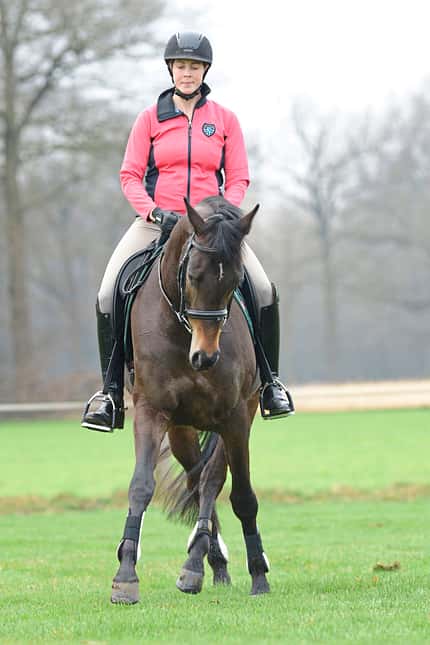 CAVALLO Themenschwerpunkt Ausbildungsskala Themenschwerpunkt Ausbildungsskala