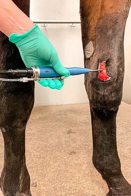 CAVALLO Moderne Wundbehandlung Moderne Wundbehandlung