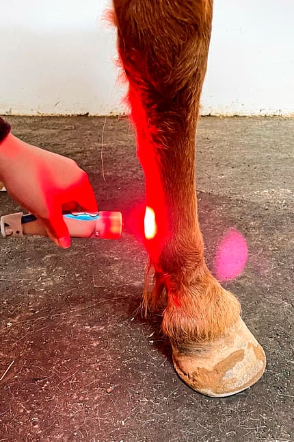 CAVALLO Moderne Wundbehandlung Moderne Wundbehandlung