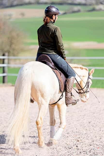 CAVALLO Tragkraft-Training Tragkraft-Training