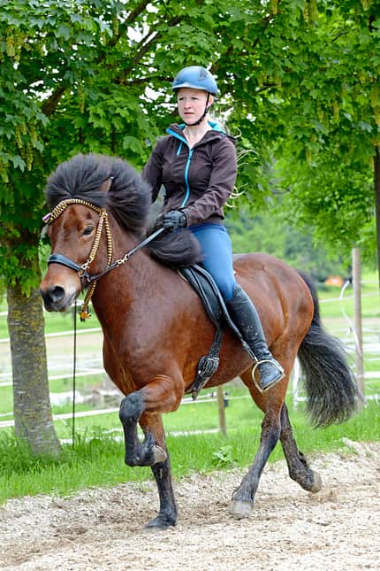 CAVALLO Ausbildungsskala Takt Ausbildungsskala Takt