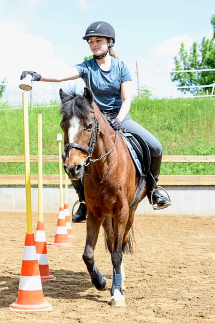 CAVALLO Allround-Training Allround-Training