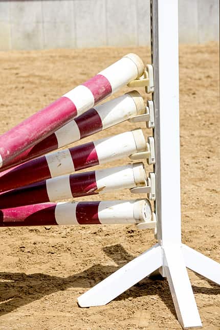 CAVALLO Allround-Training Allround-Training