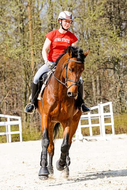 CAVALLO TSP Schulterkontrolle TSP Schulterkontrolle