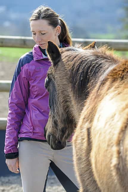 CAVALLO Standpunkt Ignorieren als Lob Standpunkt Ignorieren als Lob