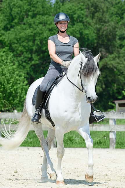 CAVALLO Ausbildungsskala Schwung Ausbildungsskala Schwung