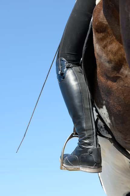 CAVALLO Ausbildungsskala Schwung Ausbildungsskala Schwung