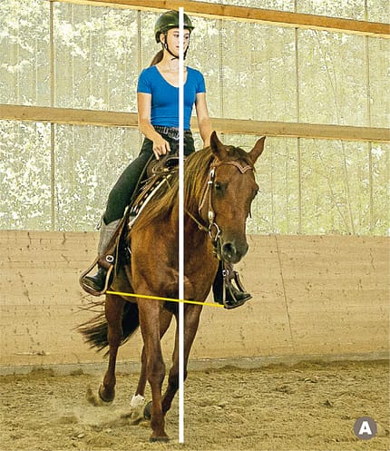CAVALLO TSP Trainings-Check TSP Trainings-Check