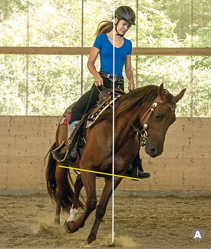 CAVALLO TSP Trainings-Check TSP Trainings-Check