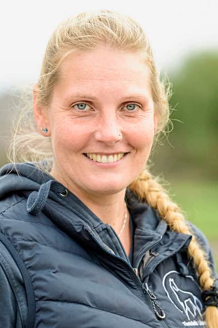 CAVALLO Stallsuche der Profis Stallsuche der Profis