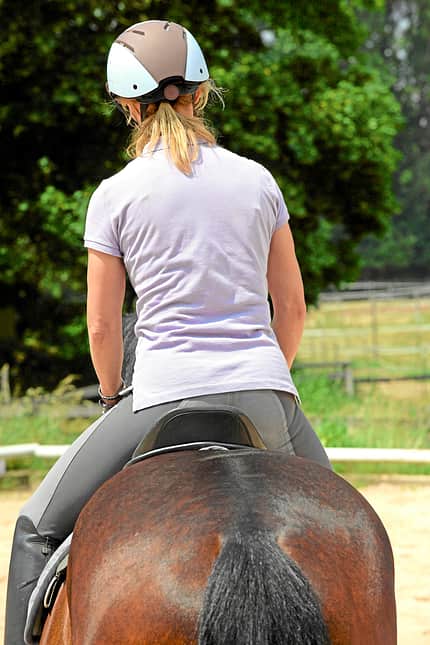 CAVALLO Serie Ausbildungsskala Geraderichtung Serie Ausbildungsskala Geraderichtung