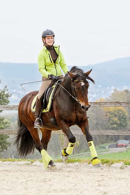 CAVALLO Ausbildungsskala Versammlung Ausbildungsskala Versammlung