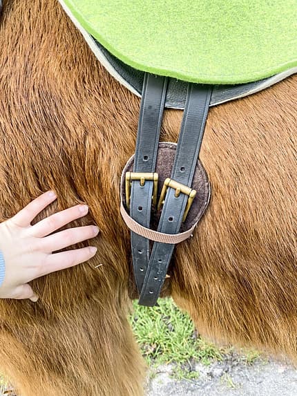 CAVALLO Schnurgurte CAVALLO Schnurgurte