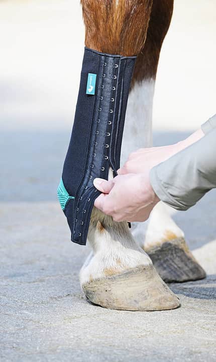 EquiCrown, EquiCrown-Kompressionsgamasche, Kompressionsbandage Pferd, Therapiegamasche, Pferdebein, Fesselgelenk, Lymphdrainage Pferd, Reitsportausrüstung, Bandagenverschluss Hakenösen, Pferdepflege Das Foto zeigt eine Kompressionsgamasche, die am Bein eines Pferdes angelegt wird.