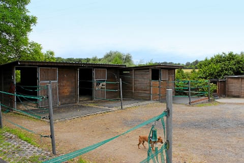 CAV Stall-Scout Stall-Runde EquiArt Corinna Hengefeld Brightcove